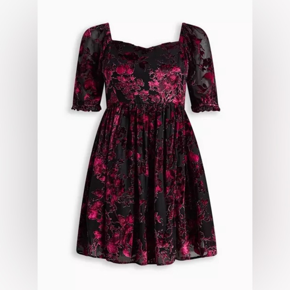Mini Burnout Velvet Babydoll Dress